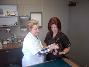 Chappelle Small Animal Vet Hospital